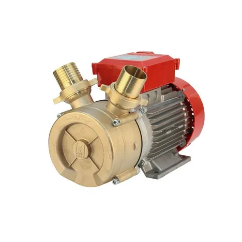 Electric Pallet Oil Transfer Pump – BET 50
