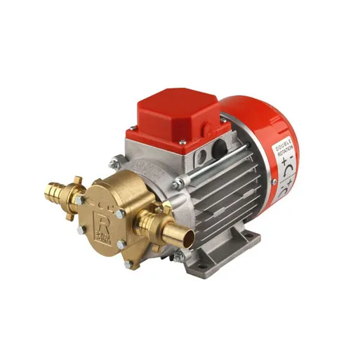 Electric Gear Oil Pump 24 L – 12 V – MARINA G20